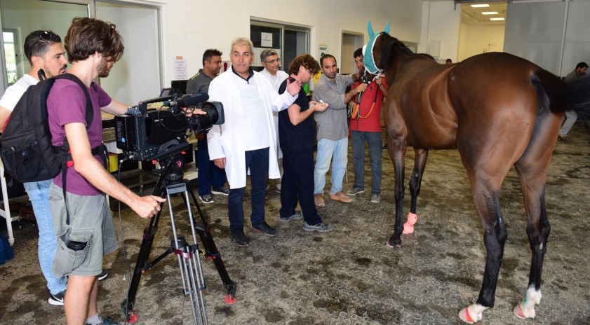 Laborant ve Veteriner Sağlık Programı öğrencileri uygulama videoları ile öğreniyor