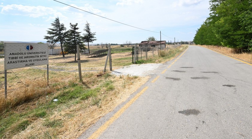 Anadolu &Uuml;niversitesinde tıbbi ve aromatik bitkiler bilimle değer kazanıyor
